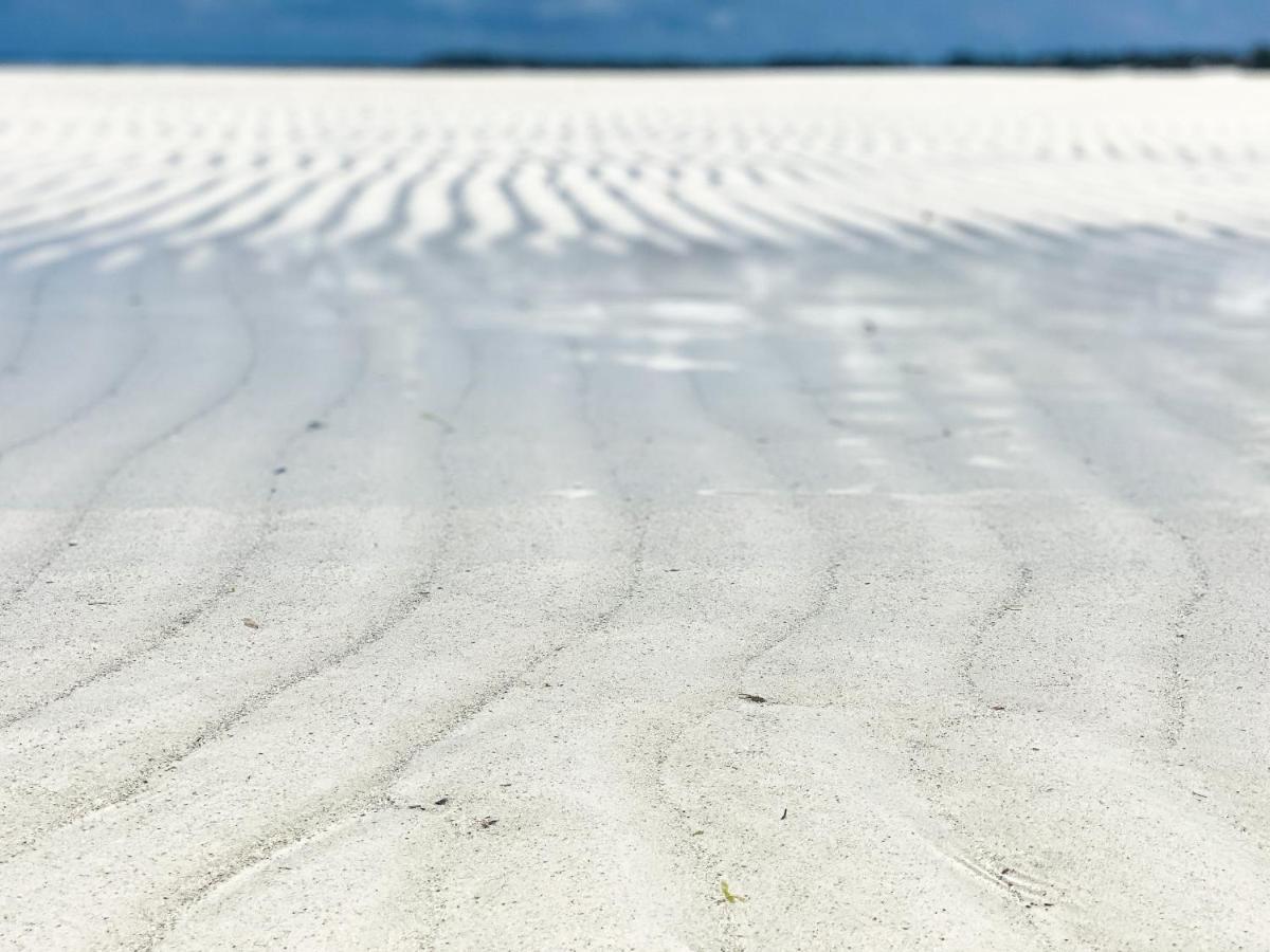 Beachfront Turtle House With Private Pool Zanzibarhouses Ківенґва Екстер'єр фото